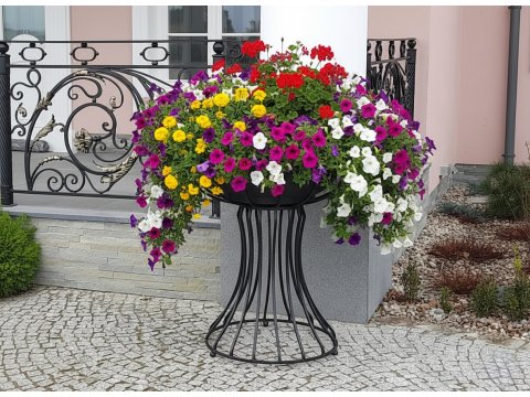 Ogrodowy kwietnik kuty